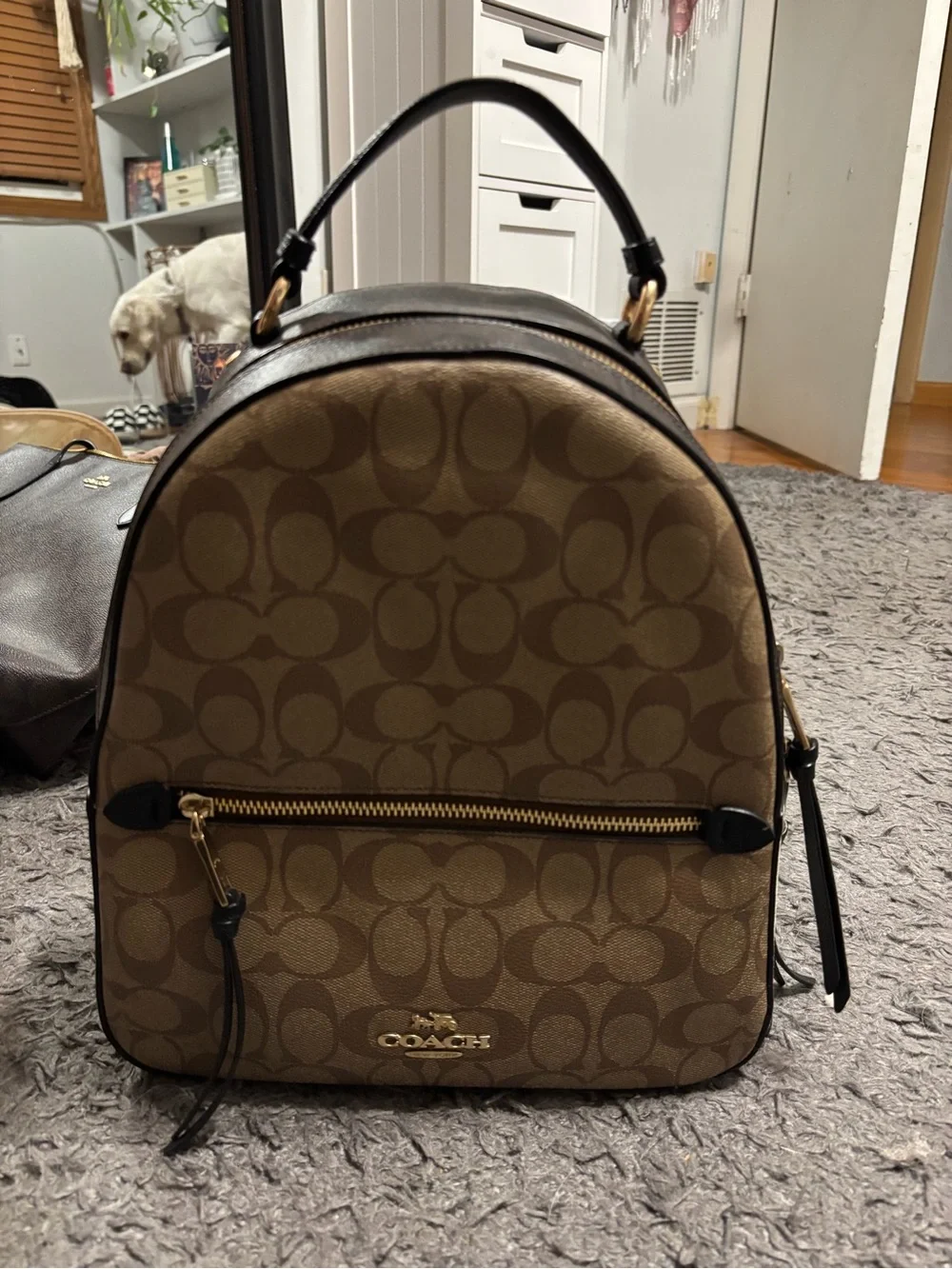 COACH BACKPACK/PURSE